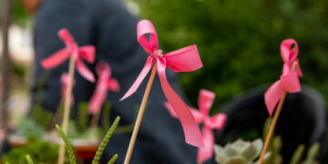 Córdoba Rosa: cómo y dónde conseguir turnos gratuitos