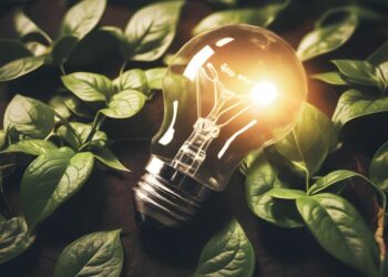 Día Mundial del Ahorro de Energía: 5 consejos prácticos para cuidar el planeta