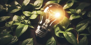 Día Mundial del Ahorro de Energía: 5 consejos prácticos para cuidar el planeta Día Mundial del Ahorro de Energía: 5 consejos prácticos para cuidar el planeta