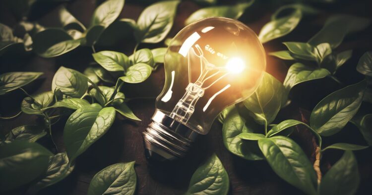 Cada 21 de octubre se celebra el Día Mundial del Ahorro de Energía,