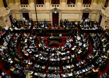 Una treintena de diputados buscarán renovar su banca, pero sólo 20 tienen la reelección asegurada