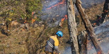 Riesgo extremo de incendios en toda la provincia Se esperan vientos de mediana intensidad y baja humedad relativa ambiente.