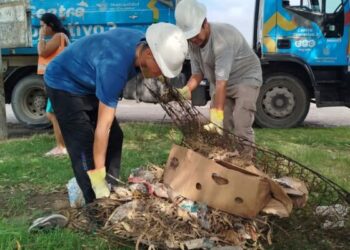 El procedimiento se desplegará desde las 10:00 horas en cada uno de los barrios, según cronograma.