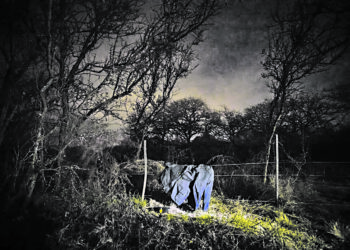 Escondido en el ropero