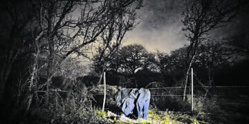 Escondido en el ropero Escondido en el ropero