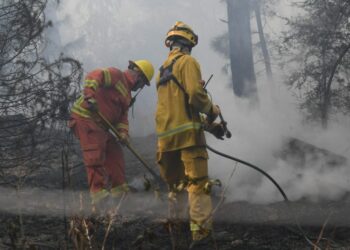 Este jueves el riesgo de incendios es extremo en toda la provincia.