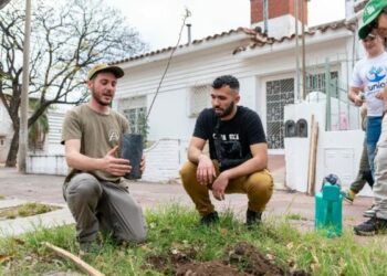GeTAU: la app cordobesa que invita a vecinos a cuidar y mapear los árboles de su barrio