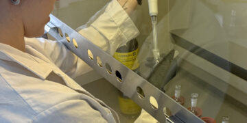 Científica cordobesa identifica cómo potenciar la producción de girasol