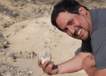 Paleontólogos encuentran un huevo de dinosaurio carnívoro