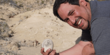 Paleontólogos encuentran un huevo de dinosaurio carnívoro