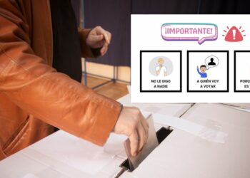 Fundación Por la Inclusión Plena compartió en su cuenta de Instagram una campaña titulada “Voto accesible en pictogramas”. - Imagen ilustrativa de la nota periodística.