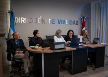 La Dirección de Vialidad licitó los estudios para contar con un diagnóstico completo de casi 1.000 puentes.