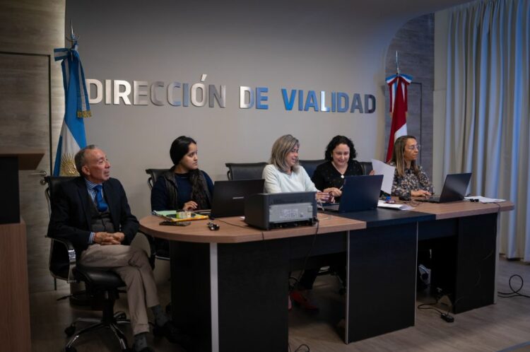 La Dirección de Vialidad licitó los estudios para contar con un diagnóstico completo de casi 1.000 puentes.