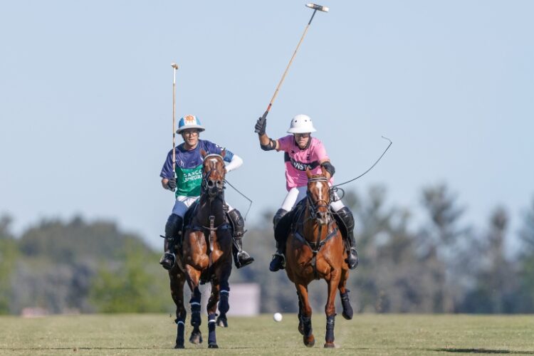 La Natividad-La Dolfina derrotó a Ellerstina-Indios Chapaleufú y se quedó con el Abierto de Tortugas El encuentro se definió en el último chukker. Foto: Asociación Argentina de Polo.