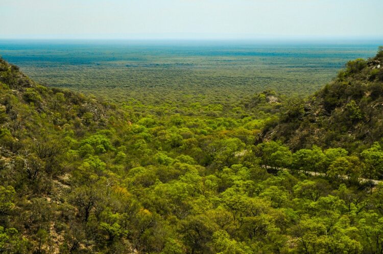 La Provincia de Córdoba destina más de 500 millones para reconocer a los titulares de tierras con bosque nativo que presenten un Plan de Conservación.