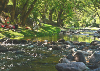 La colonia cordobesa para hacerse millonario