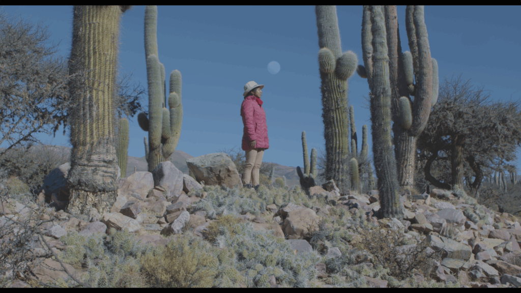 Fuera de Campo 2025: un festival independiente por el cine argentino