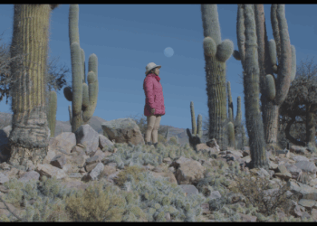 Fuera de Campo 2025: un festival independiente por el cine argentino