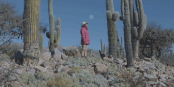 Fuera de Campo 2025: un festival independiente por el cine argentino Fuera de Campo 2025: un festival independiente por el cine argentino