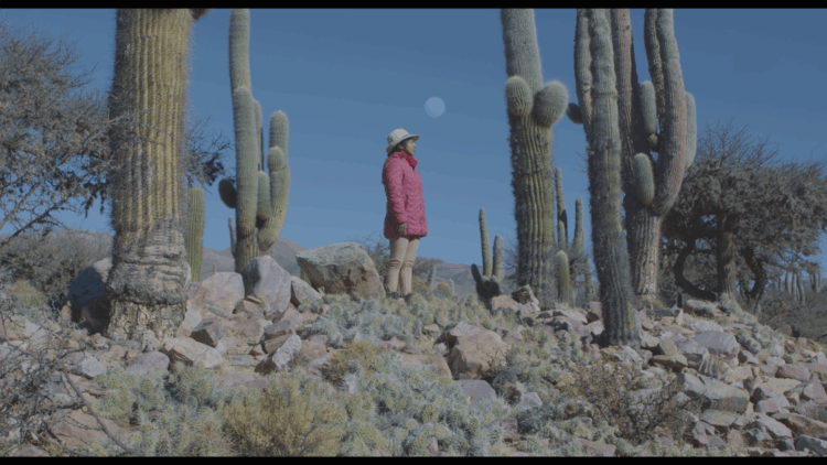 Las Descendientes, de Julieta Sans, será uno de los filmes que integrarán la programación del festival.