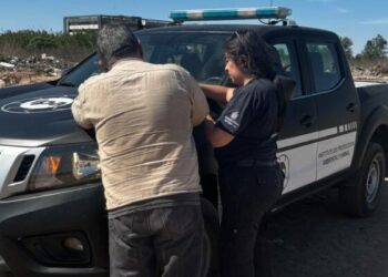 Los rodados corresponden a las localidades de Córdoba, Mendiolaza y La Calera.