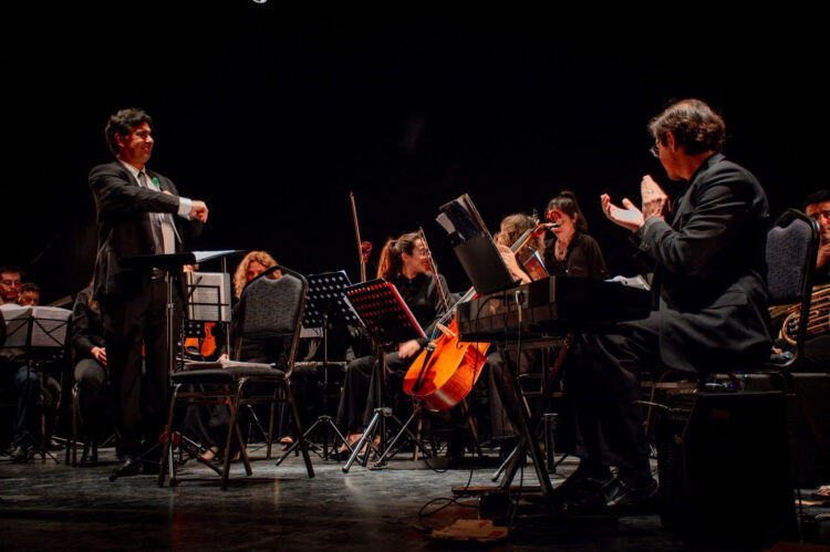 La Camerata Académica de Córdoba durante uno de sus conciertos.