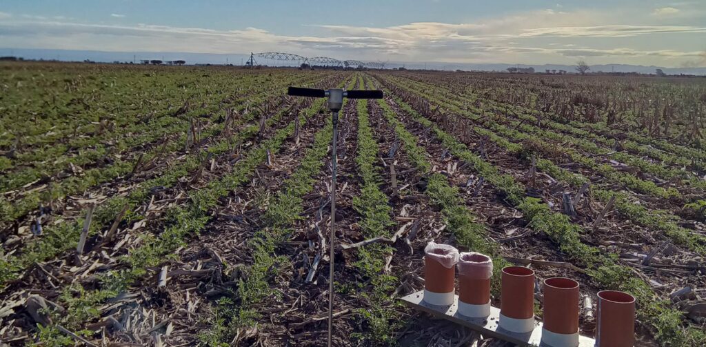 OPTIMACQUA está conformado por los ingenieros agrónomos Ezequiel de Luca, Emiliano de Luca, Ignacio Pascual, el ingeniero electrónico Federico Machado y el licenciado en Oceanografía Mauro López Gregori.