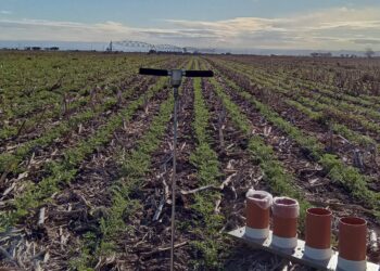 OPTIMACQUA está conformado por los ingenieros agrónomos Ezequiel de Luca, Emiliano de Luca, Ignacio Pascual, el ingeniero electrónico Federico Machado y el licenciado en Oceanografía Mauro López Gregori.