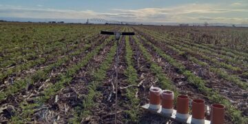 Optimizan el riego agrícola combinando IA, datos satelitales, meteorológicos y de los cultivos OPTIMACQUA está conformado por los ingenieros agrónomos Ezequiel de Luca, Emiliano de Luca, Ignacio Pascual, el ingeniero electrónico Federico Machado y el licenciado en Oceanografía Mauro López Gregori.