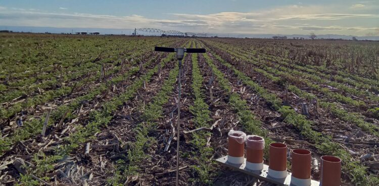 OPTIMACQUA está conformado por los ingenieros agrónomos Ezequiel de Luca, Emiliano de Luca, Ignacio Pascual, el ingeniero electrónico Federico Machado y el licenciado en Oceanografía Mauro López Gregori.