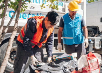Operativo ambiental de prevención del Dengue en 5 barrios