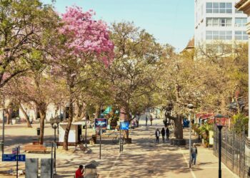 Calor y cielo parcialmente nublado marcan la jornada en Córdoba