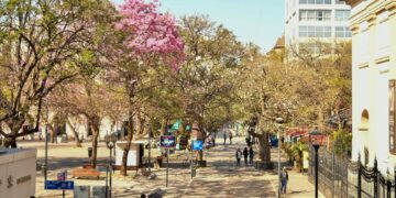 El calor vuelve a decir presente en Córdoba: el SMN prevé 31°C de máxima y viento del noreste con ráfagas moderadas.
