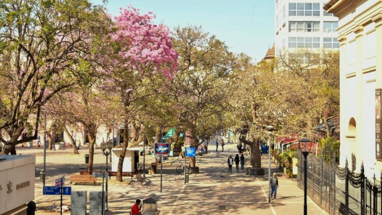 El calor vuelve a decir presente en Córdoba: el SMN prevé 31°C de máxima y viento del noreste con ráfagas moderadas.