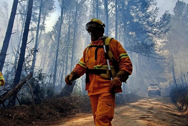 Persiste el alerta extremo por el desarrollo de incendios forestales en la provincia.
