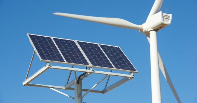 Por primera vez, las energías renovables generan más electricidad que el carbón a nivel mundial