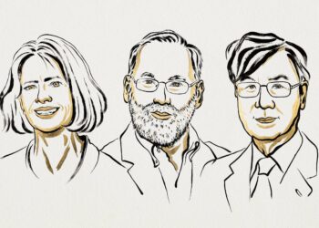 Tres científicos ganaron el Nobel de Medicina por sus hallazgos sobre la tolerancia inmunitaria