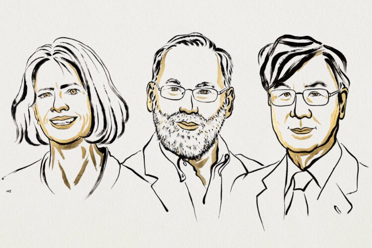 Mary E. Brunkow, Fred Ramsdell y Shimon Sakaguchi.
Foto: Niklas Emelhed