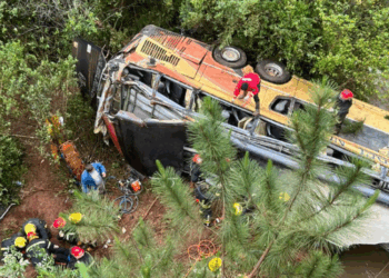 Un colectivo chocó contra un auto, cayó a un arroyo y dejó al menos nueve muertos