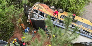 Un colectivo chocó contra un auto, cayó a un arroyo y dejó al menos nueve muertos Un colectivo chocó contra un auto, cayó a un arroyo y dejó al menos nueve muertos