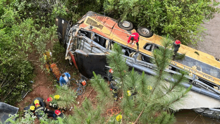 Un colectivo chocó contra un auto, cayó a un arroyo y dejó al menos nueve muertos El siniestro ocurrió a la altura del kilómetro 892, en la localidad de Campo Viera, Misiones.