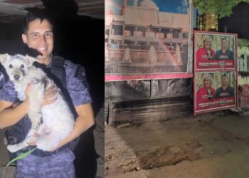 Un perro fue salvado luego de caer a un pozo ciego en barrio Centro