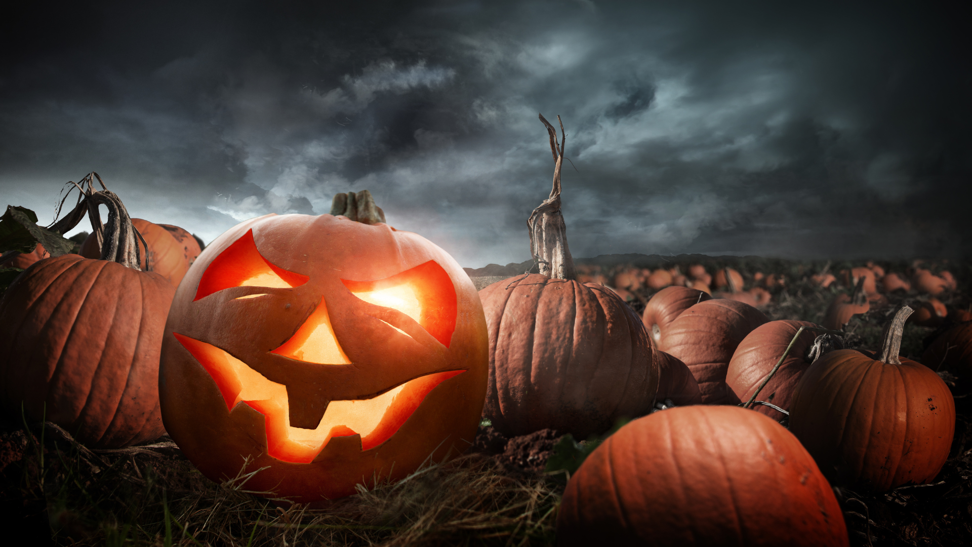 Arte, música y terror: el plan del fin de semana en Córdoba Arte, música y terror: el plan del fin de semana en Córdoba