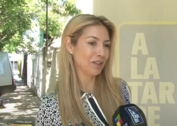 Fabiola Yañez afirmó que conocía la relación entre Alberto Fernández y Tamara Pettinato