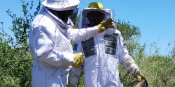 inspectores sanitarios apícolas