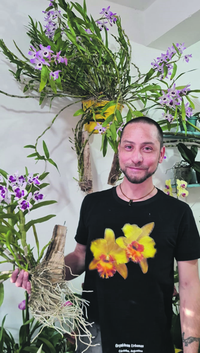 Orquídeas, “El Milagro” y el Gran Lapacho Blanco