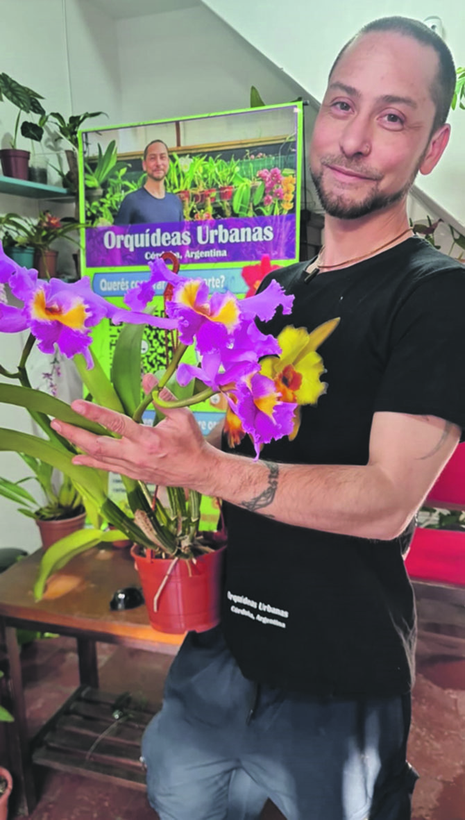 Orquídeas, “El Milagro” y el Gran Lapacho Blanco