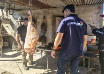Decomisan carne tras un operativo por faena ilegal en Malagueño