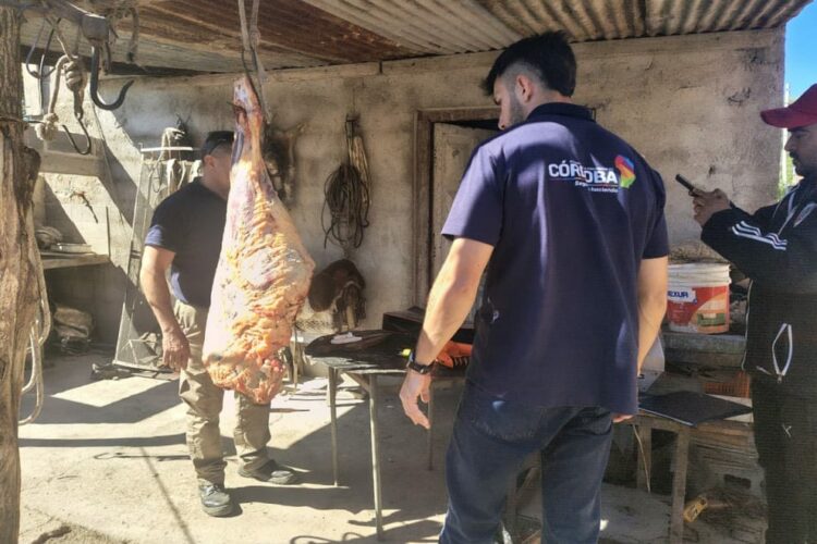 Se procedió al decomiso de aproximadamente 50 kilogramos de carne bovina y de los elementos y equipos utilizados para la faena.