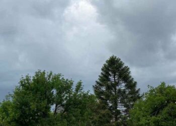 Tormentas, granizo y vientos fuertes: las provincias afectadas según el SMN